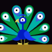Animanimals - De Pfau