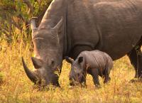 Abenteuer Wildnis