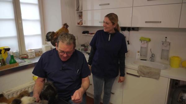 Bild 1 von 6: .