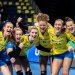 Volleyball Live - Bundesliga