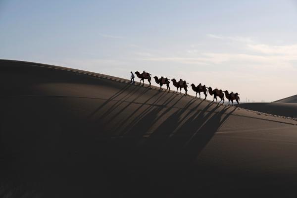 Bild 1 von 8: Schon in der Antike gab es globalen Handel. So wurde Siede aus dem heutigen China bis nach Europa transportiert.