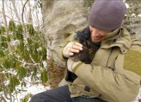 Tierische Superbauten