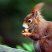 Abenteuer Wildnis