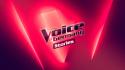 The Voice Stories