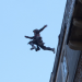 Assassin's Creed