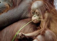 Hotspots der Tierwelt