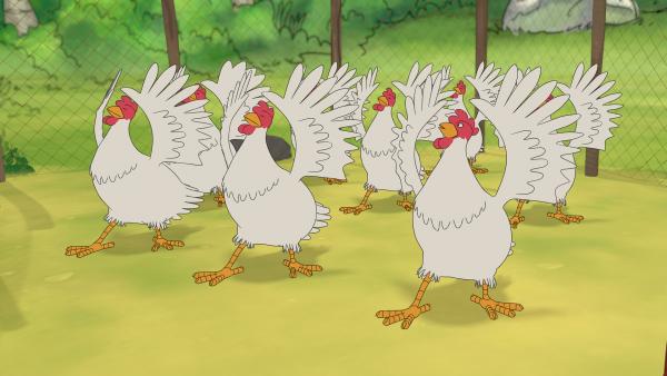 Bild 1 von 5: Die Hühner sind schon seit Tagen in großer Aufregung, denn sie studieren eine Ballettaufführung für Petterssons Geburtstag ein. Und das voller Grazie!