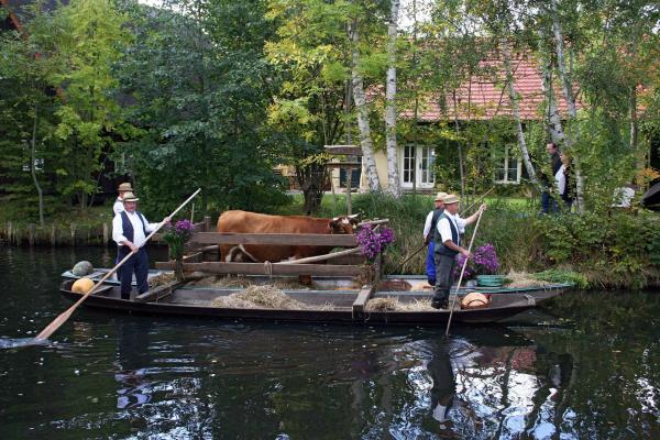 Bild 1 von 8: Der Kahnkorso im Herbst ist das größte Fest im Spreewaldort Lehde. Die Kähne sind bunt geschmückt und viele Einwohner tragen die sorbische Festtracht.