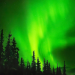 Nordlichter - Leben am Polarkreis