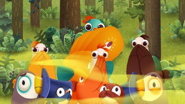 Bild 1 von 1: Ein grausliger Gestank wabert durch das Camp und die Vögel gehen der Ursache auf den Grund.