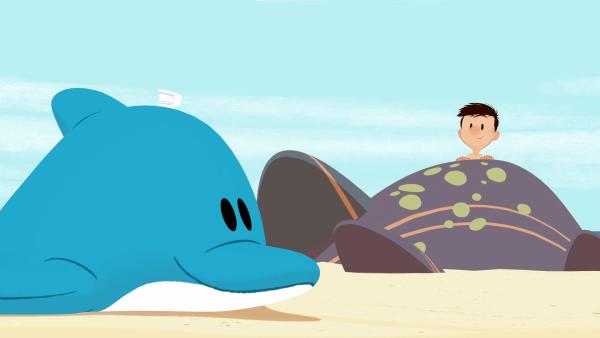 Bild 1 von 5: Nick ist baff. Georg hat seinen Delfin am Strand liegen lassen.