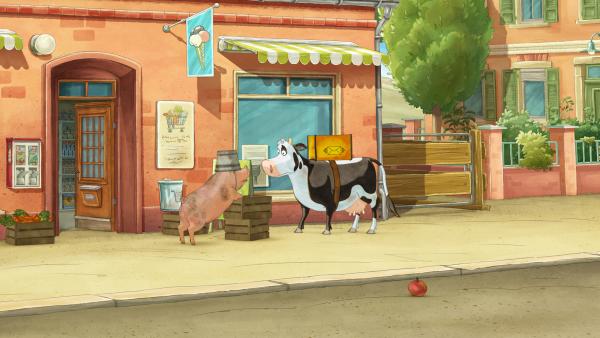 Bild 1 von 4: Wie kann Lieselotte nur das Schweinchen zum Tierarzt locken?