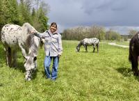 Anna und die Haustiere