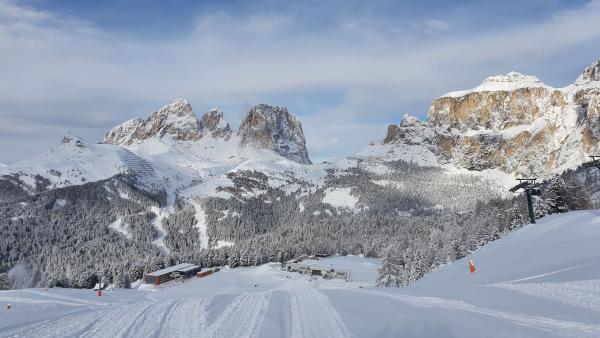 Bild 1 von 11: .