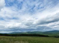 Vier Jahreszeiten - Ein Wald im Wandel