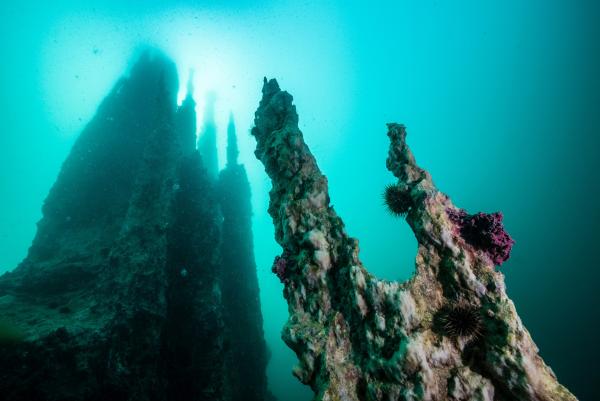 Bild 1 von 11: In einem abgelegenen Fjord in Grönland wachsen gewaltige Säulen aus dem Meeresboden. Sie bestehen aus dem Mineral Ikait - ein weltweit einmaliges Phänomen.
