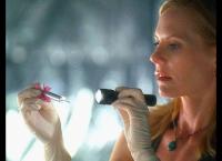 CSI: Den Tätern auf der Spur