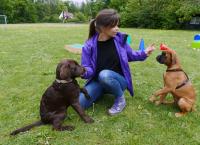 Anna und die Haustiere