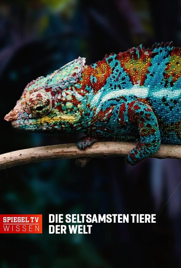 Bild 1 von 2: .