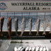 Weite Wildnis Alaska