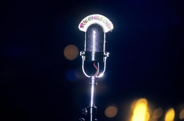 Bild 1 von 3: Im Bild: Mikrofon.