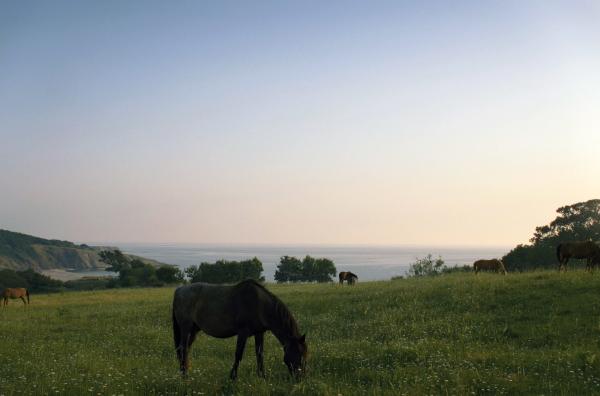 Bild 1 von 6: Landschaft nahe des Strandscha-Gebirges