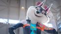 RTL 20:15: Sing - Die Show Deines Lebens
