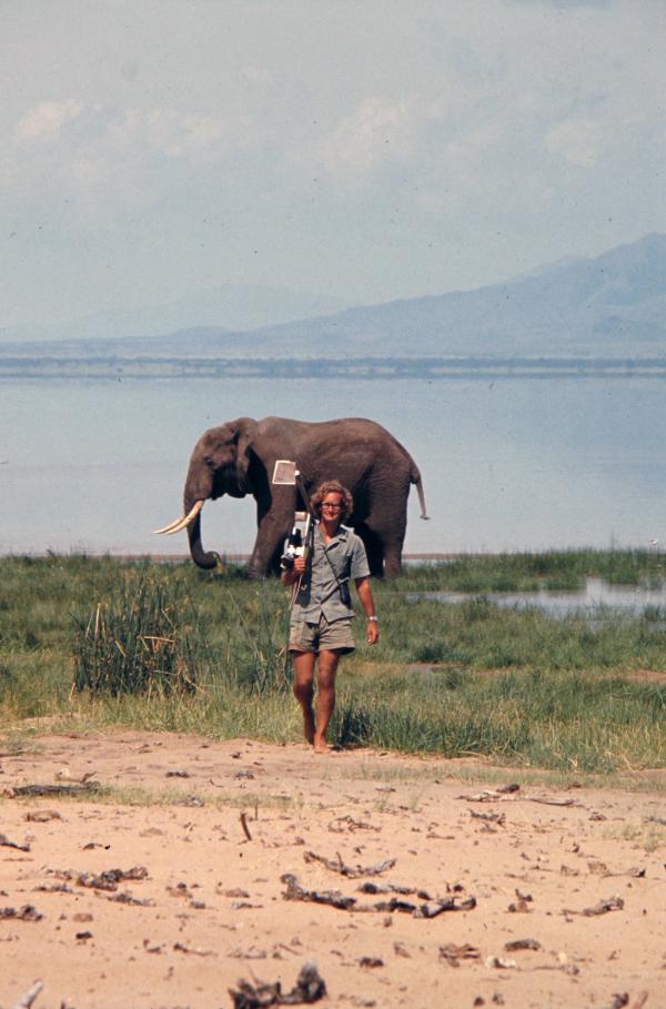 Bild 1 von 5: Im Jahre 1965 reist Iain Douglas-Hamilton nach Tansania, um dort mit der Erforschung Afrikanischer Elefanten zu beginnen.