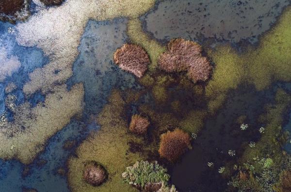 Bild 1 von 4: Moorlandschaft auf dem Pester Plateau