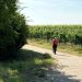 Expedition in die Heimat