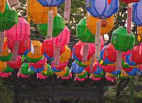 VIP Trip - Prominente auf Reisen 5