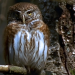 Abenteuer Wildnis