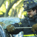 Chicago Fire