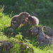 natur exclusiv