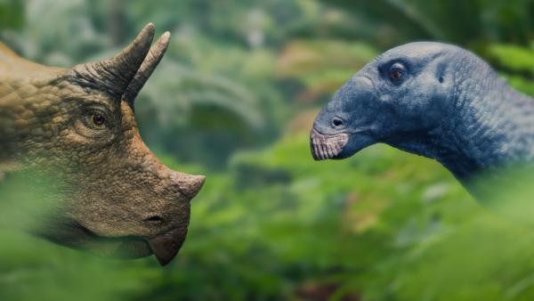 Bild 1 von 15: Auf ihrer Reise schließt die kleine Clover auch Freundschaften, wie zu diesem Edmontosaurus-Jungtier.