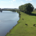 die nordstory