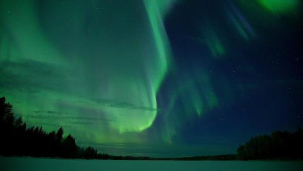 Bild 1 von 20: Im Bild: Wenn im Mittwinter die Nordlichter am Himmel tanzen, entfaltet sich die geheimnisvolle Magie der nordischen Wälder.
