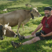 Wilde Schweiz II: Naturpark Beverin