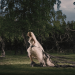 Melancholia