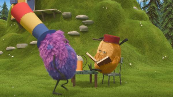 Bild 1 von 5: Strit trägt Kiwis beeindruckenden Hut.