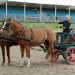 Judith Rakers: Abenteuer Pferd