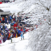 Biathlon