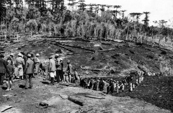 Bild 1 von 22: Im Bild: Dreizehnlinden (Treze Tílias), um 1933, beim Roden des Urwaldes.