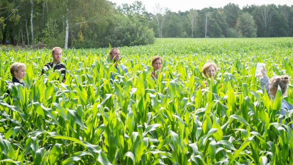 Bild 1 von 7: Kriminaltechnikerin Stefanie Horn (Nicole Ernst, r.) berichtet Austauschpolizistin Stine Bergendal (Sidsel Hindhede, l.), Polizeihauptmeister Timmermann (Mathias Junge, 2.v.l.), Kommissar Lars Pöhlmann (Dominic Boeer, 3.v.l.), Kommissarin Karoline Joost (Nike Fuhrmann, 3.v.r.) und Dr. Helene Sturbeck (Katharina Blaschke, 2.v.r.), dass sie bisher keine Spuren finden konnte. Tappen die Kommissare weiter im Dunkeln? Oder findet das Team doch eine heiße Spur?