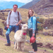Travel with a Goat