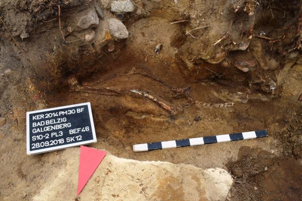 Bild 1 von 14: Wie fest die Vorstellung von Magie und magischer Kraft in den Köpfen der Menschen verankert waren, zeigen die Funde von einem alten Richtplatz bei Bad Belzig. Verschiedene Abwehrmaßnahmen - wie die Bestattung mit dem Gesicht nach unten - sollen Tote daran hindern, sich an den Vollstreckern zu rächen.