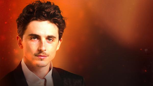 Bild 1 von 4: Blockbuster-Star und Golden-Globe-Gewinner: Timothée Chalamet steht schon mit 13 Jahren vor der Kamera und ist heute weltberühmt.