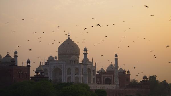 Bild 1 von 5: Je nach Licht erstrahlt der Taj Mahal in unterschiedlichen Farben. Dafür sorgt seine Fassade aus Makrana-Marmor, der aufgrund seiner Beschaffenheit Licht auf besondere Weise reflektiert.