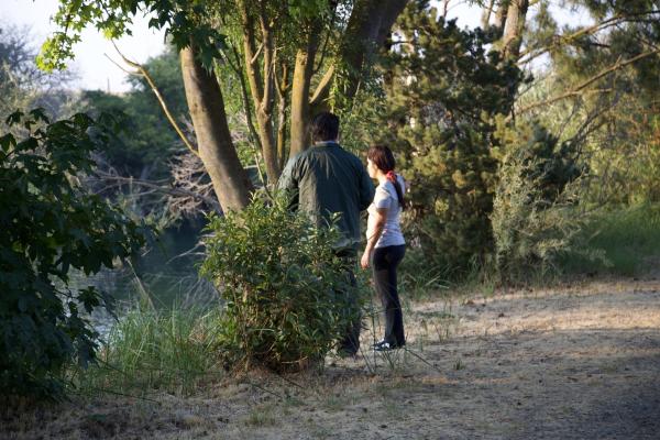 Bild 1 von 8: .