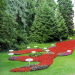 Insel Mainau: Blaues Blut und rote Rosen